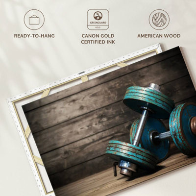 Sireci Dumbbells For Fitness