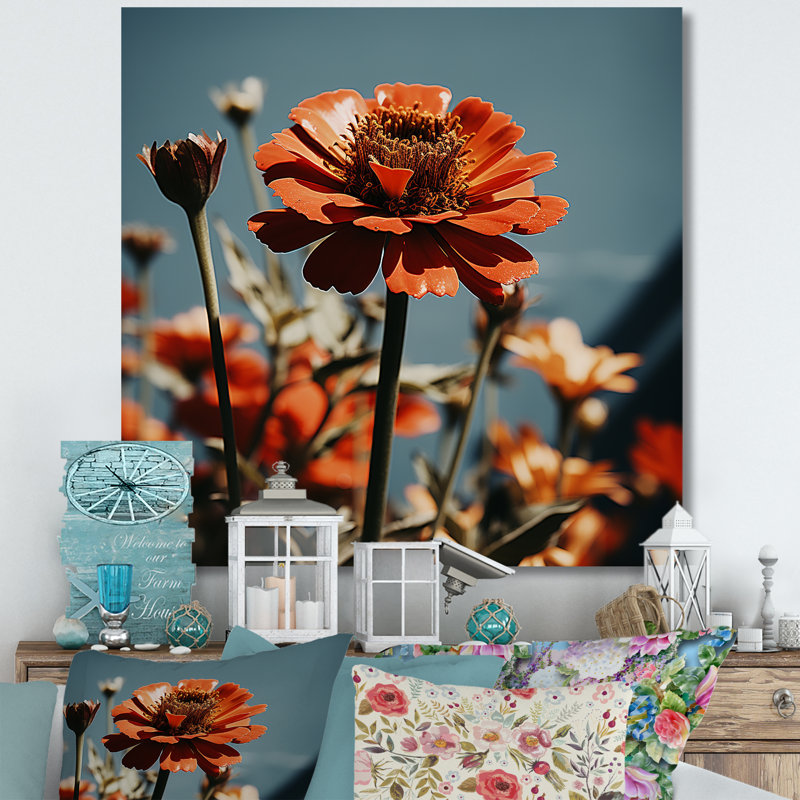 Rayon rouge Zinnias - art mural Zinnias, Toile tendue, H 36 po x l 36 po x P 1,5 po