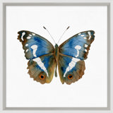 Butterfly Study 2' Framed Graphic Art Print on Glass