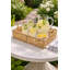 Bethany Rattan Decorative Tray