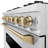 ZLINE Autograph Edition 36 in. 5.2 cu. ft. Classic Gas Range with 6 Burner Cooktop and Convection Gas Oven in Satin Stainless Steel and Accents-105283481
