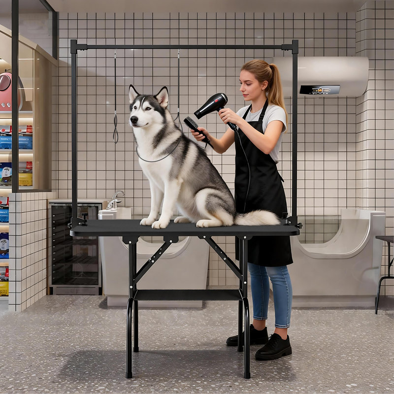 Table de toilettage réglable pour chien H 59 po x l 32 po x P 20 po avec bras pliable et tablette de rangement