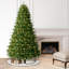 7.5' Artificial Fir Christmas Tree with Color & Clear Lights