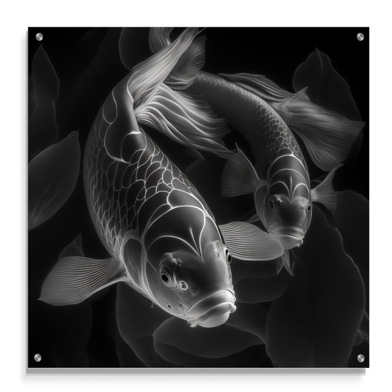 Monochromes de poissons koi, H 16 po x l 16 po