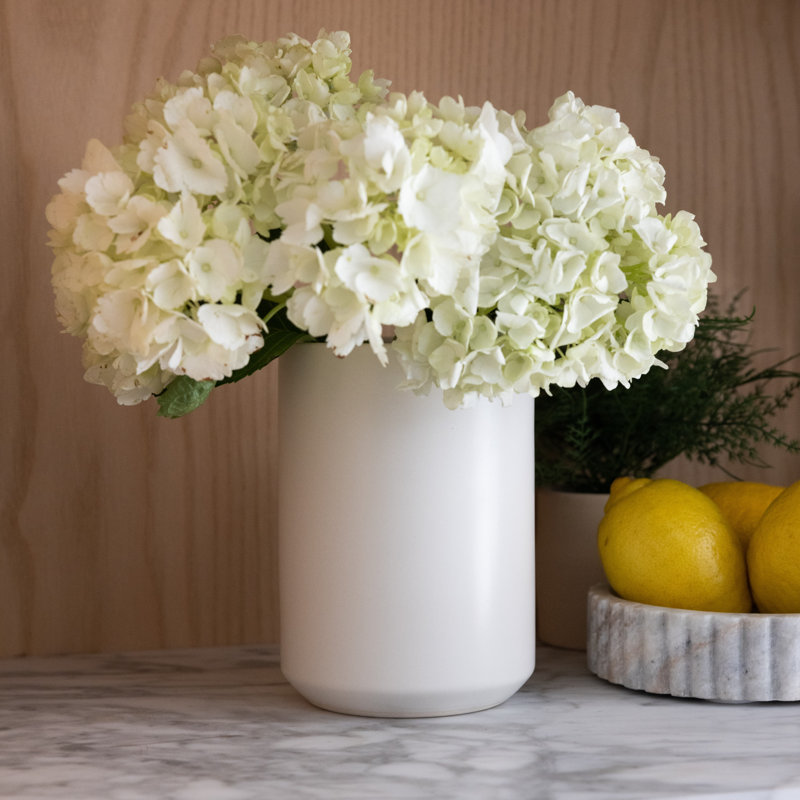 Hydrangea Arrangement in Vase