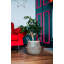 Seagrass Lined Basket Planter-1815029844-1815051235