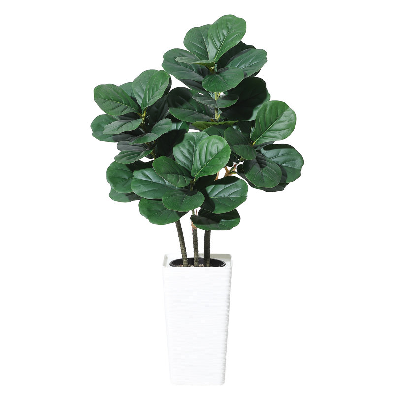 Plant, 120cm x 23cm