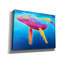 «Baleine à bosse - Arc-en-ciel» par Dawg Painter-101609425