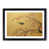 Black Framed selected