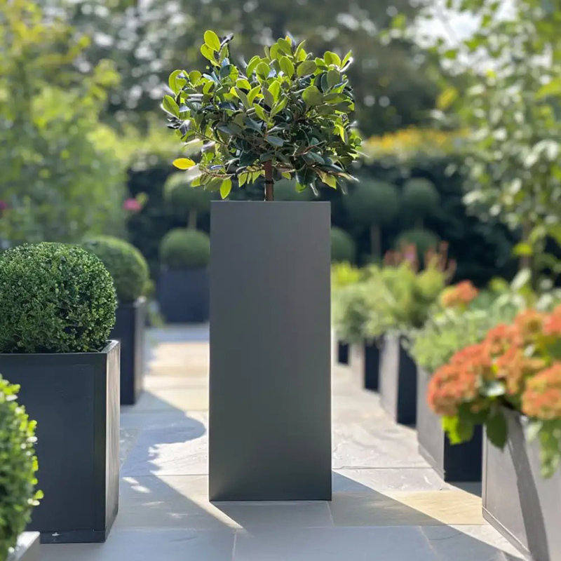 Babrow Metal Planter Box, 80cm H x 100cm W x 80cm D, Grey