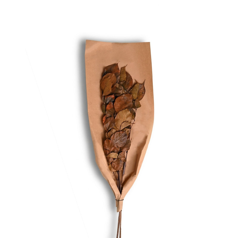 Bougon Branch 4Pc Paper Poly