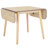 Damarius Drop Leaf Table-2142984571
