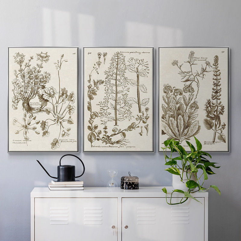 «Sepia Botanical Journal IV», ensemble de 3 pièces encadrées sur toile, Argent, H 27 po x l 54 po