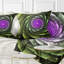 Art numérique fleur fractale - coussin imprimé floral-29458192-71503901-29458195