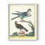 «Pastel Birds III», reproduction encadrée - bois massif-1158894769-1158894761