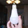 Candelabra to Standard Light Bulb Socket Adapter