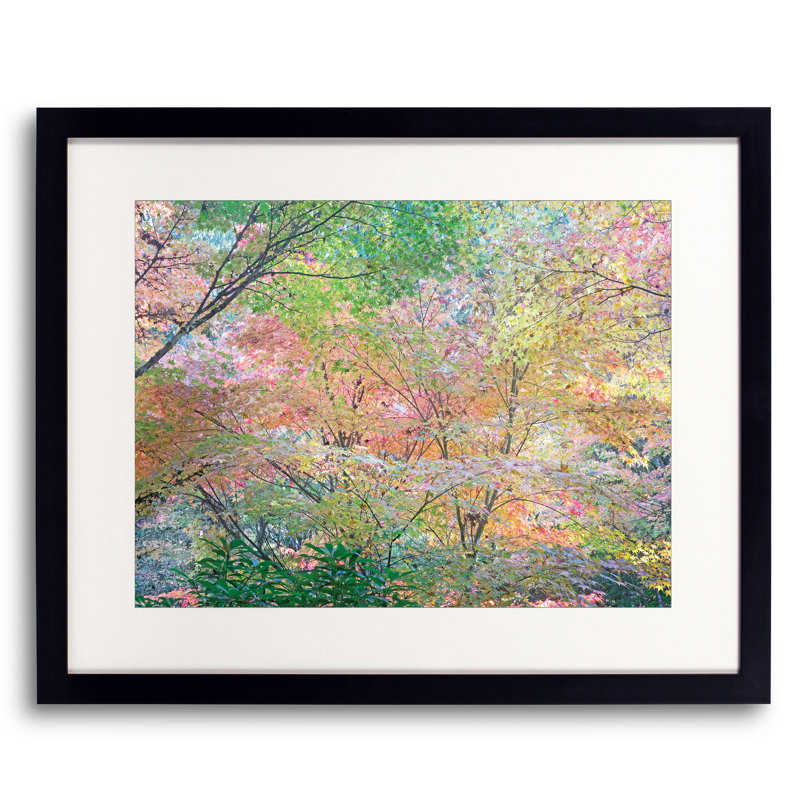 Autumn Maples Design Print by Bruce Heinemann, Black Framed Paper, 16" H x 20" W