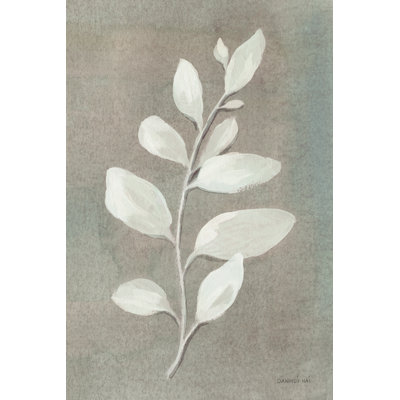 " Sage Leaves I Gray " by Danhui Nai