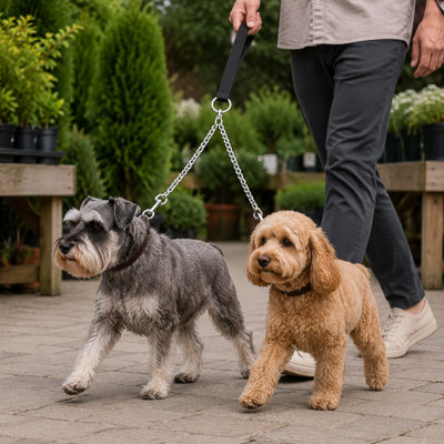 2-Dog Metal Chain Leash Coupler with Swivel Snap Hooks for Small and Medium Dogs