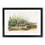 Shrew Mole by J.W. Audubon - Picture Frame Painting Print-55619239-55619242