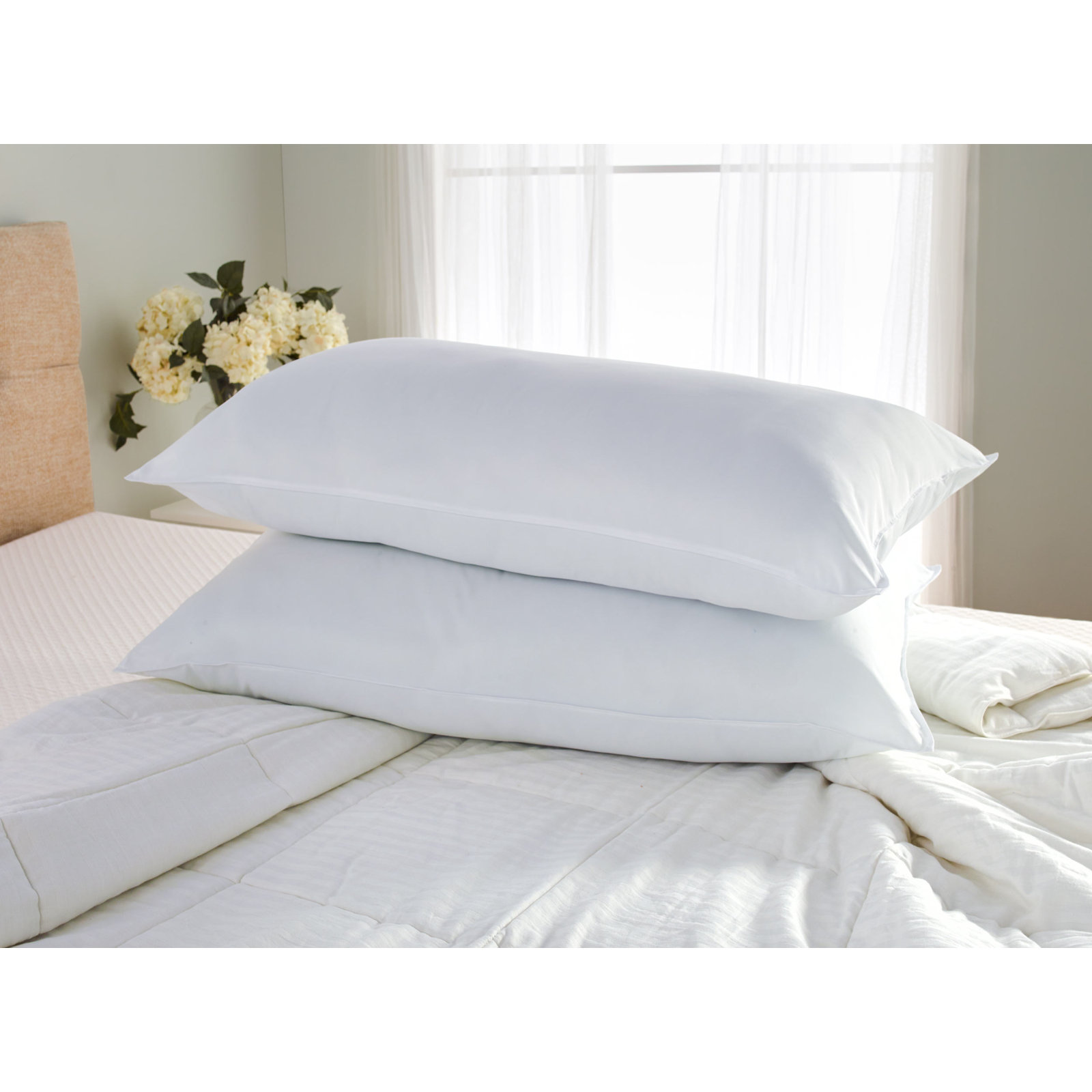 Wayfair Sleep Firm Support Pillow, Queen, Firm