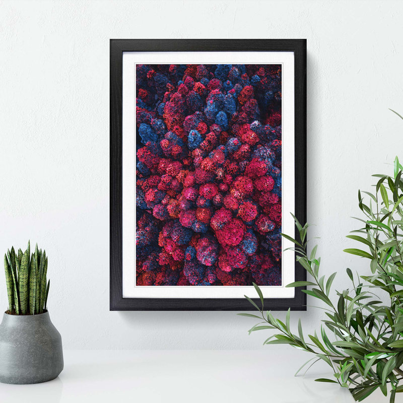 Imaginary Forest - Framed Print, 36cm H x 27cm W x 2cm D, Black Framed