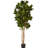 72'' Faux Fiddle Leaf Fig Tree in Planter