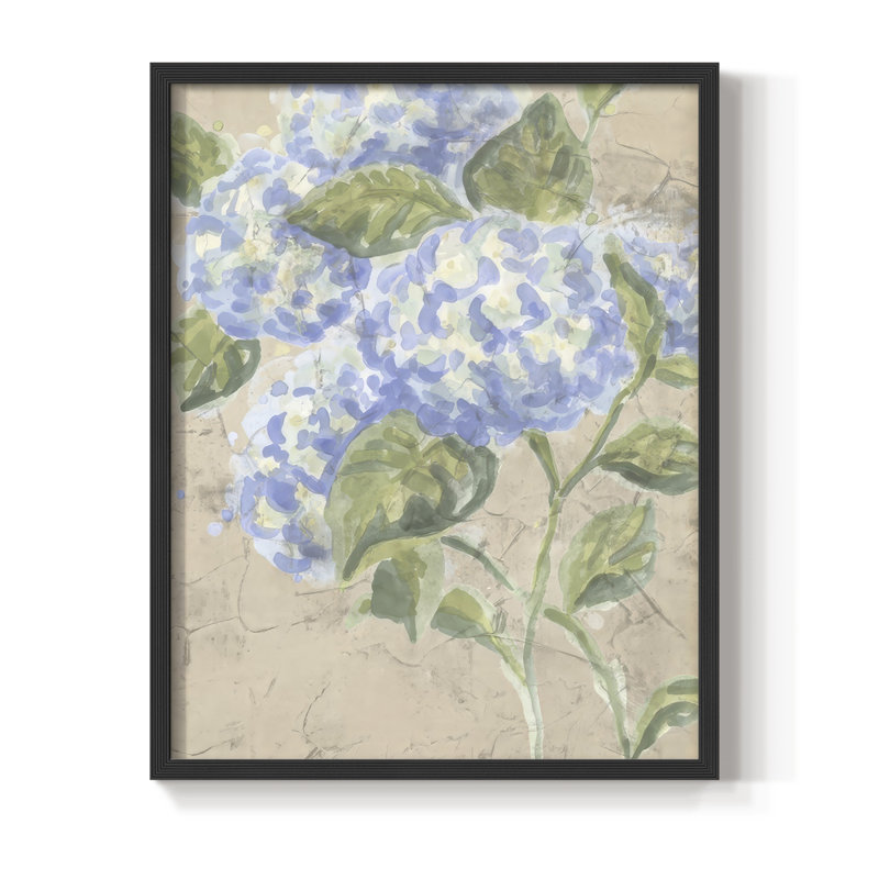 «Vintage Hydrangea Fresco I», Noir, noir, noir, noir, H 21 po x l 17 po