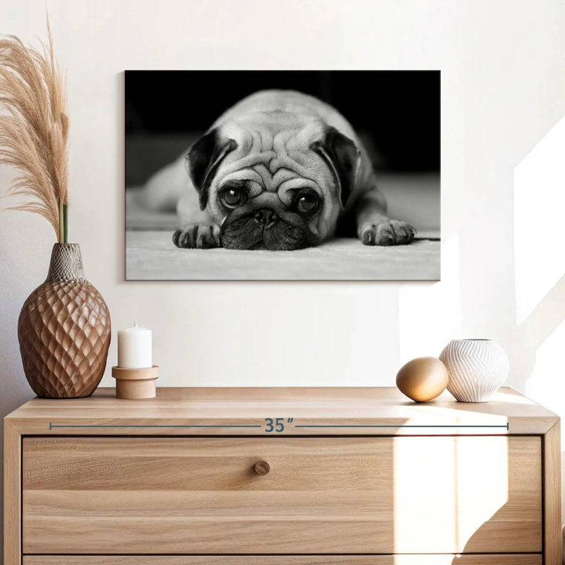Brampt Sad Pug, 30" H x 45" W