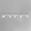 Ascoli 5 - Light Spotlight-1457294742