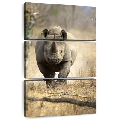 Brampt Black Rhino