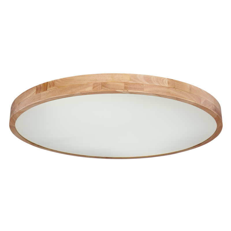 Hamlin Plastic LED Semi Flush Mount