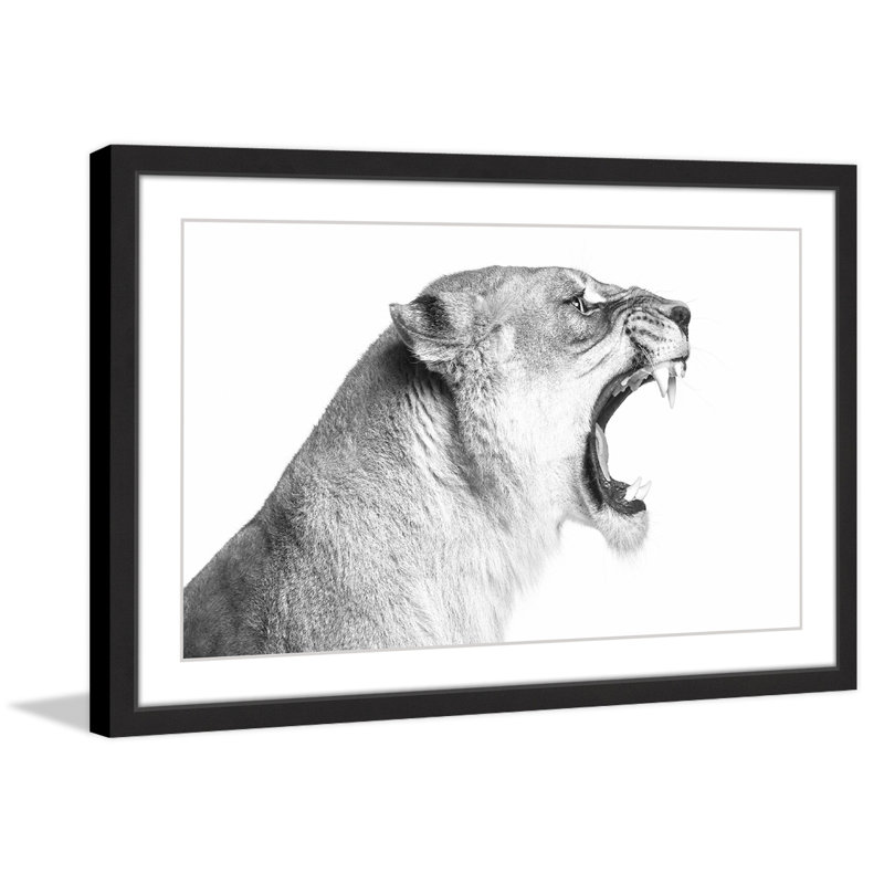 Single Picture Frame Print, 61cm H x 91cm W x 3.81cm D