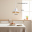 Luminaire suspendu moderne avec longueur réglable et finition résistante à la rouille - blanc mat-158664891-158664889