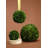 Gracie 12 " H Faux Boxwood Topiary