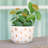 Handmade Ceramic Pot Planter