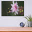 «Beautiful Flora» par Gordon Semmens-1049243982