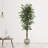 7 Feet Tall Artificial Green Ficus Tree in Pot-98494679