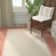Devries Indoor / Outdoor Rug
