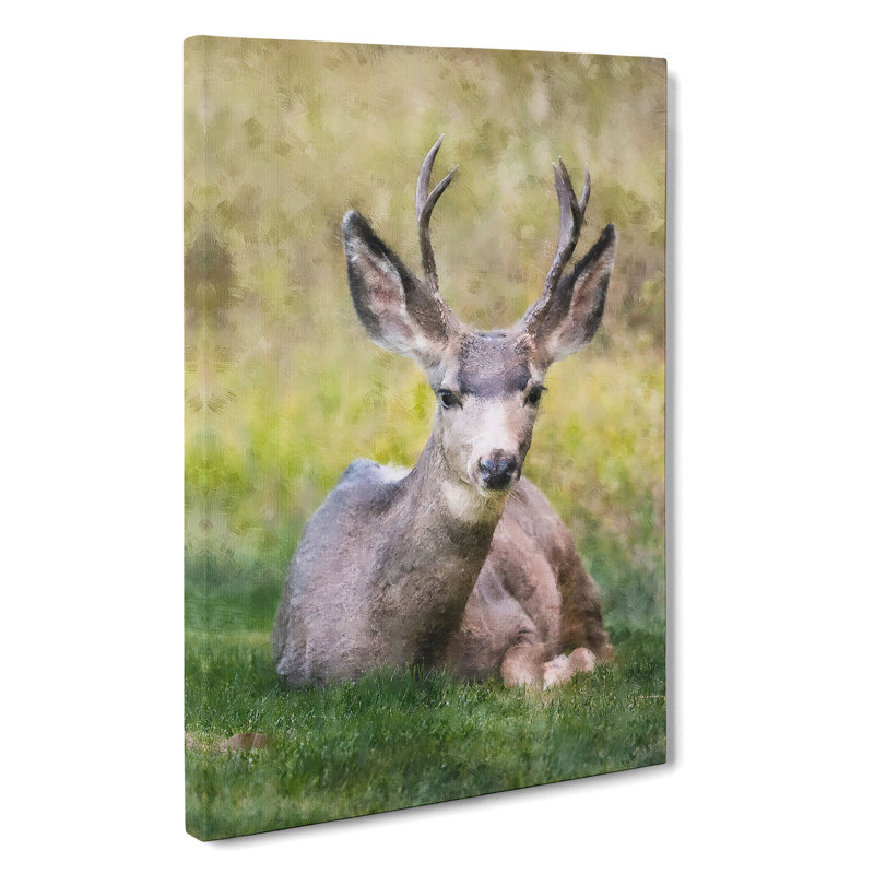 A Resting Deer - Wrapped Canvas, 60cm H x 40cm W x 3cm D
