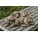 Elivra Nap Time Puppies Statue