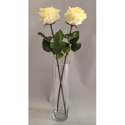 TIGE DE ROSE 27 po