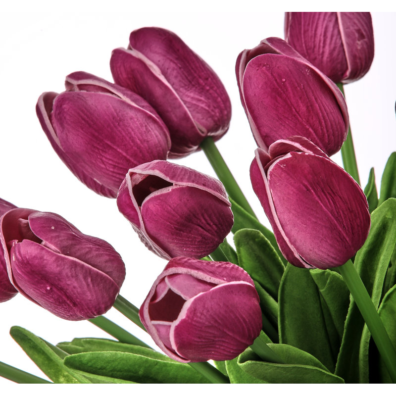 Ensemble de tulipes 13 po Eva