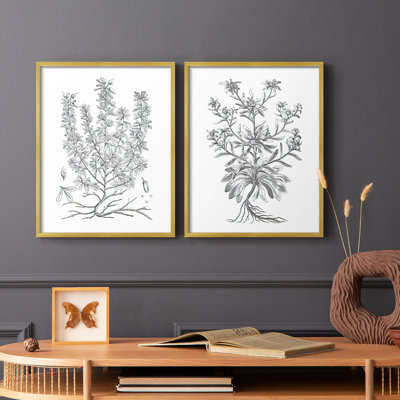Reproduction encadrée V-Premium de B & W Plant - prêt à être accroché - aucun clou requis - aucun clou requis