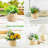 High Quality Resin Smiley Face Plant Pots: Durable, Aesthetic, Good Drainage, Suitable for Indoor & Outdoor Use