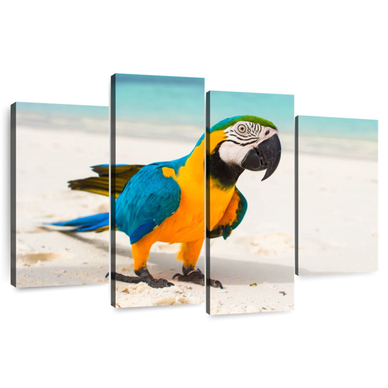 Brampt Macaw On White Sand, 32"H x 52"W