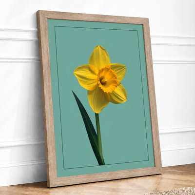 Single Daffodil Botanical - Framed Print