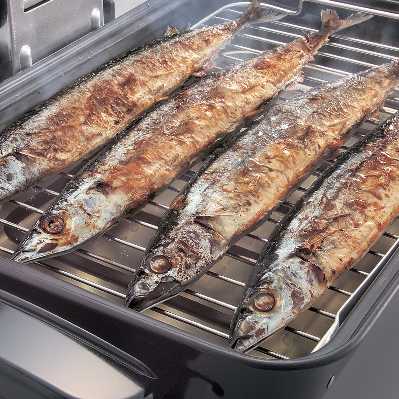 Zojirushi Fish Roaster, Metallic Gray