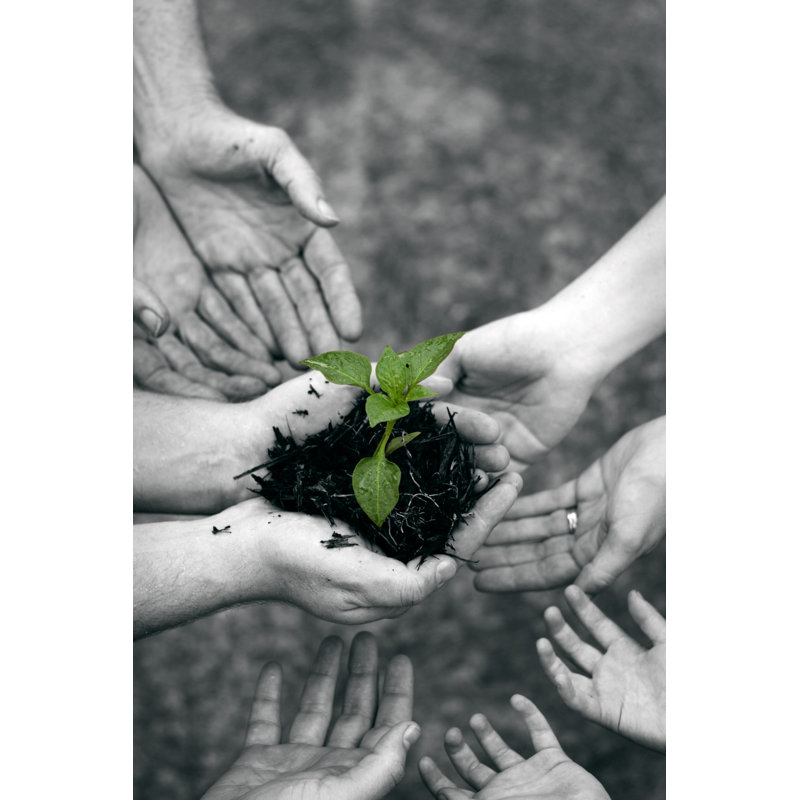 Growth by Hidesy - Wrapped Canvas Print, 122cm H x 81cm W x 3.8cm D