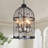 Fouladgar 4 - Light Lantern Geometric Chandelier With Crystal Accent